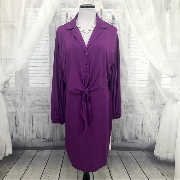 Calvin Klein Size 12 Long Sleeve Solid Purple Tie Front Dress Button Stretch NEW - Picture 2 of 13